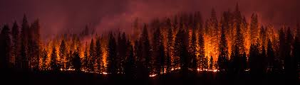 image of forest fire and smoke