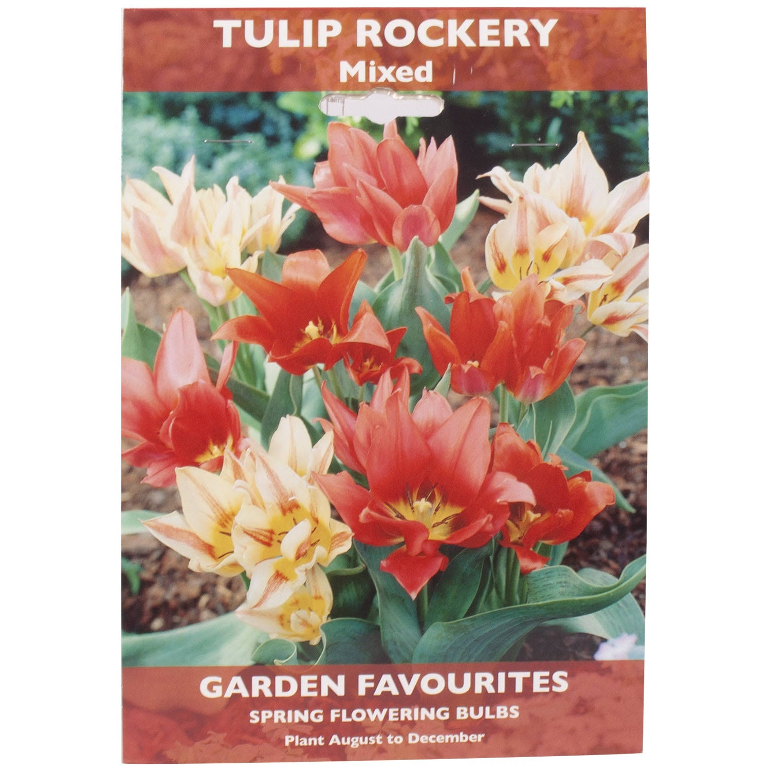 de Ree Tulip Spring Flowering Bulbs Rockery Mixed