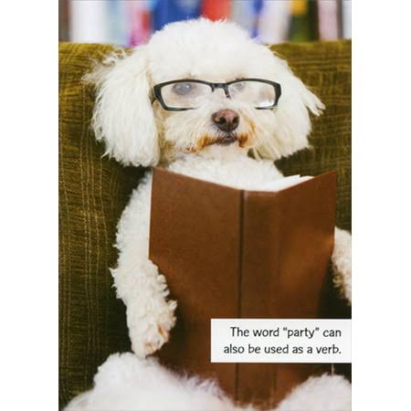 Designer Greetings White Dog with Glasses Reading Brown Book Funny / Humorous Feminine Birthday Card for Her : Woman : Women, Size: 5x7 Inches