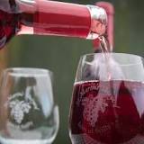 Moderate Alcohol Consumption Changes The Brain And Causes Cognitive Decline: Study
