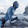 Avatar: The Way of Water movie review (2022) | Roger Ebert