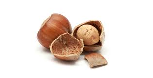 Hazels nuts