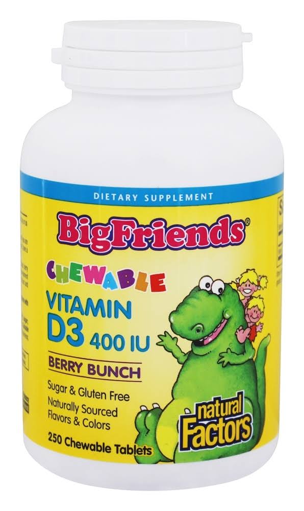 Natural Factors - Big Friends Vitamin D3 Berry Bunch 400 IU - 250 Chewable Tablets