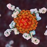 Coronavirus: Are we heading towards the fourth wave of COVID in India? Steps to take now