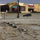 After 5 years, has Hollywood Casino helped the West Side? - News - The Columbus Dispatch