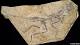 Archaeopteryx restored in fossil reshuffle