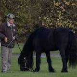 Queen's beloved fell pony seen for first time in public since her death