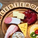 High Cholesterol: Everything You Need To Know About It