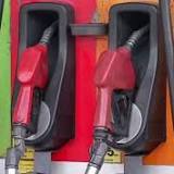 Fuel firms seen to slash prices anew next week