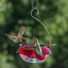 Droll Yankees The Ruby Sipper Hanging Hummingbird Feeder - Lavender