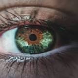 Study reveals a link between eye health and lifespan
