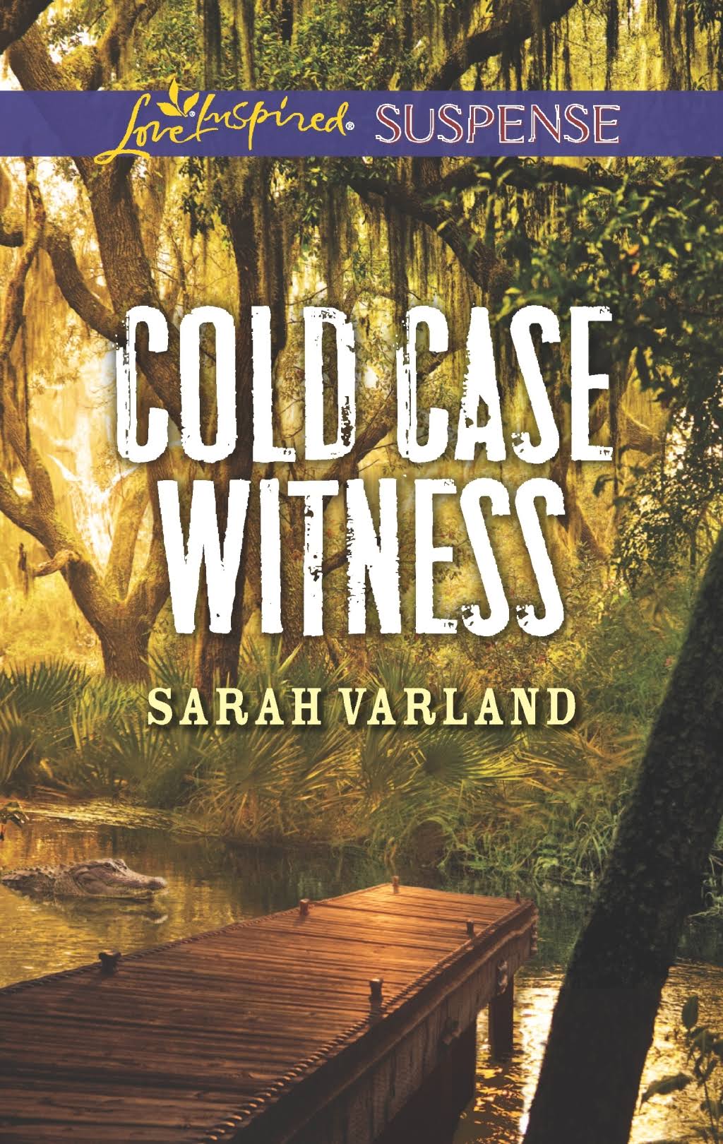 Cold Case Witness [Book]