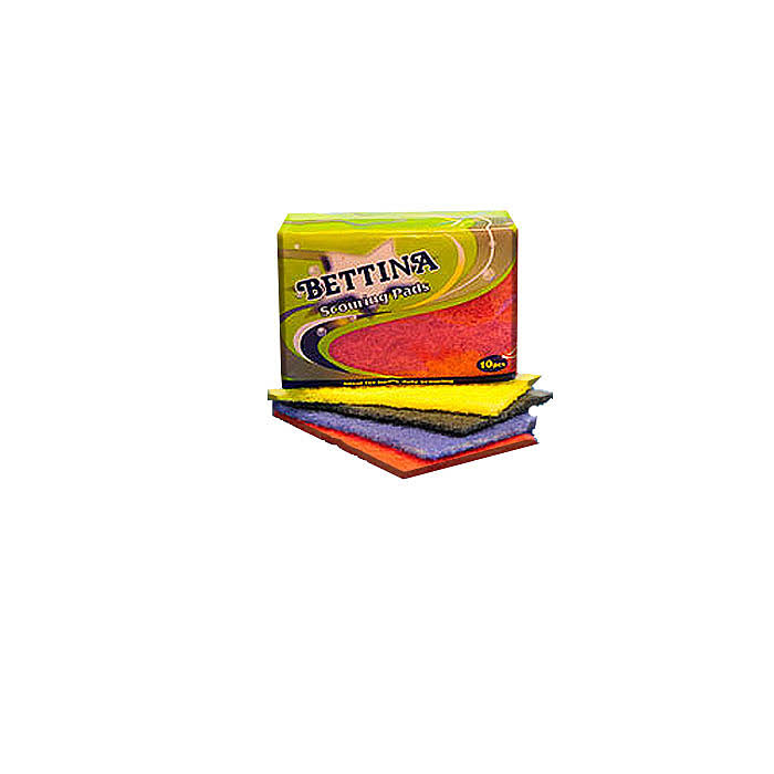 Bettina 10 Pack Multicoloured Scouring Pads