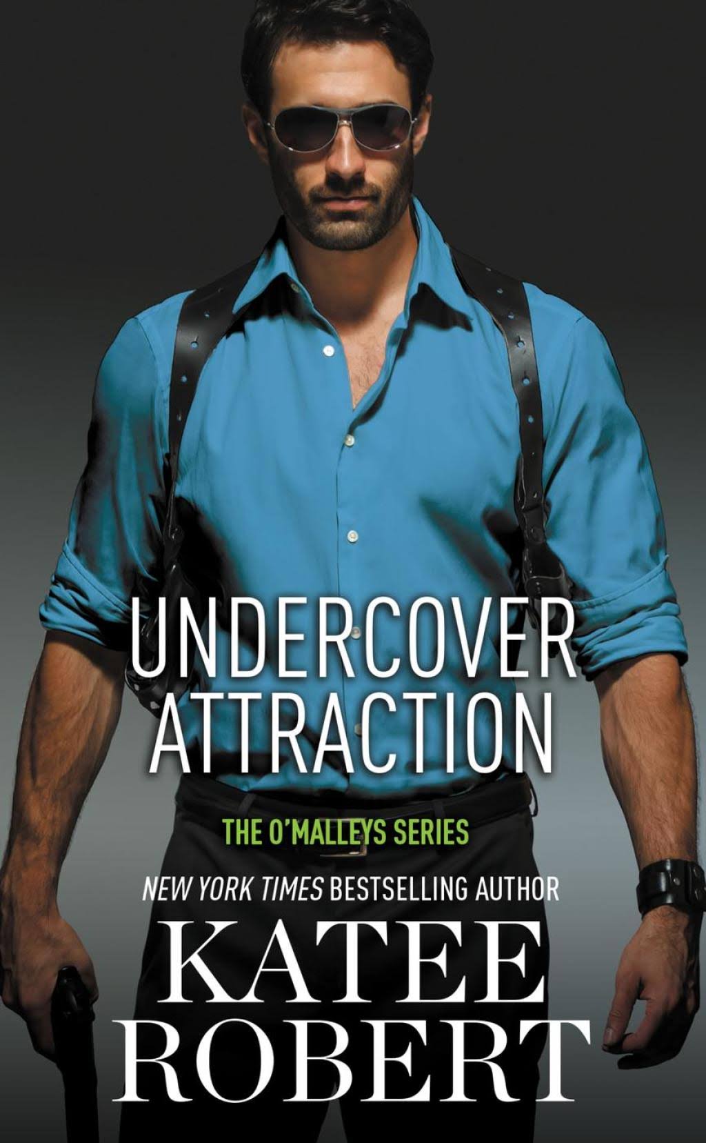 Undercover Attraction [Book]