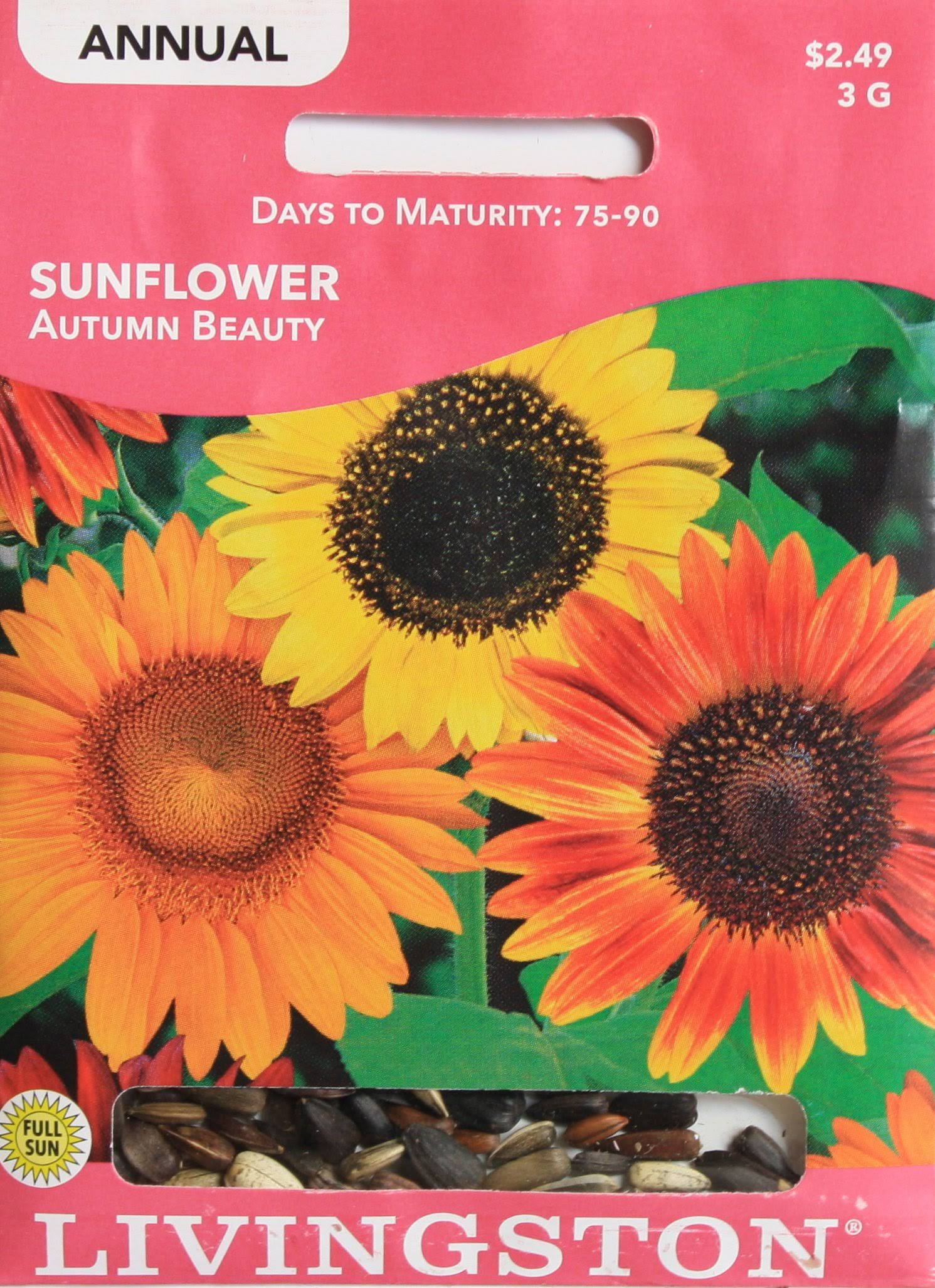 Livingston Seed Sunflower Autumn Beauty
