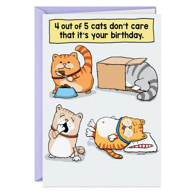 Cats Don't Care Funny Birthday Card