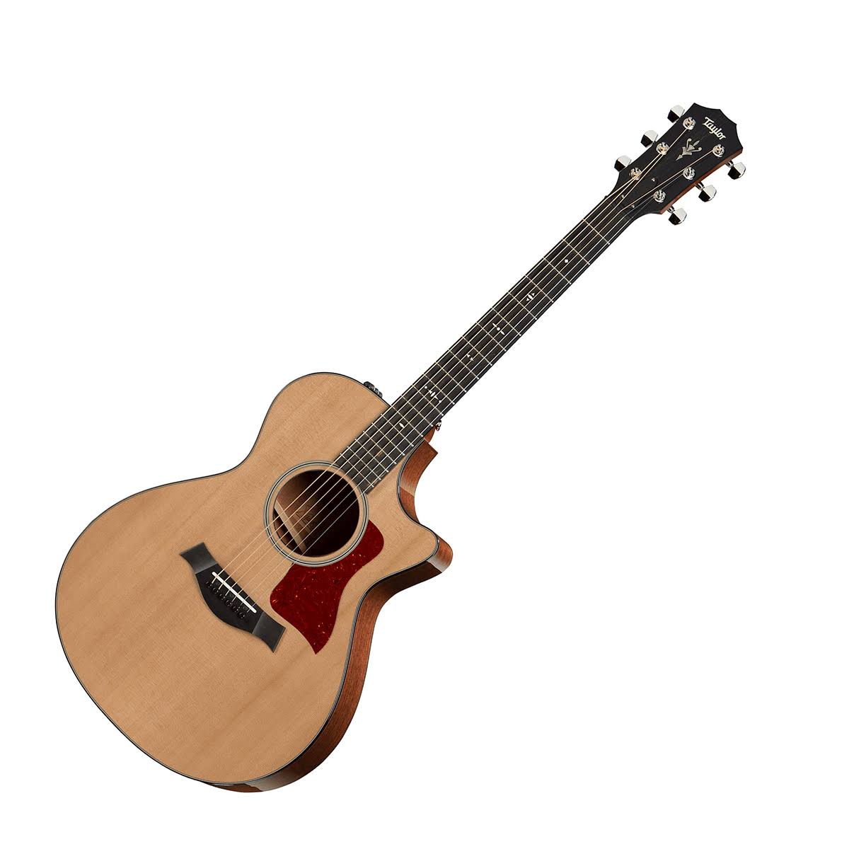 Taylor 512ce Mahogany & Cedar Acoustic-Electric Guitar Buy at Derringers Music
