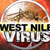 West Nile Virus found in Sterling