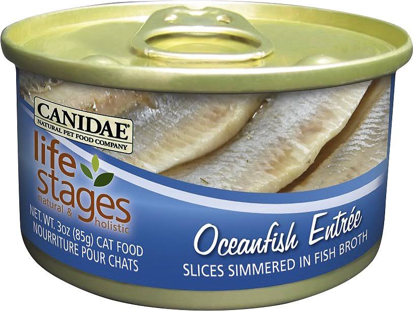 Canidae Life Stages Canned Cat Food - Oceanfish, 3oz