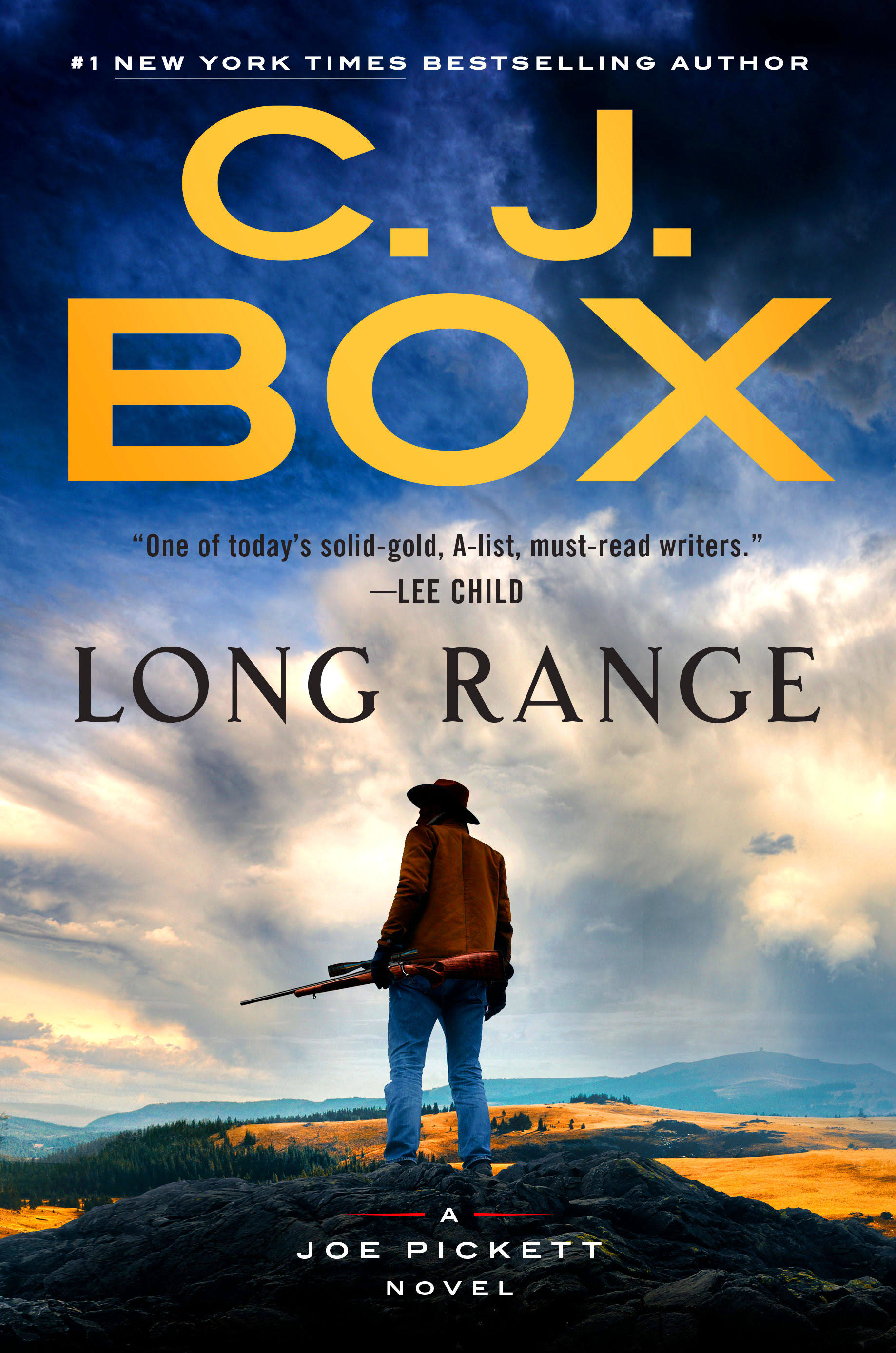 Long Range [Book]