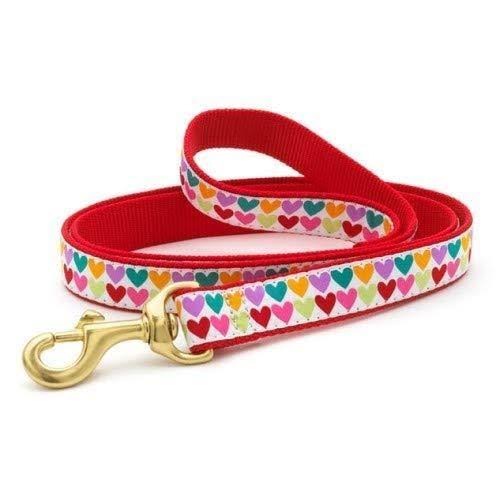 Up Country Pop Hearts Leash 1 Inch x 4 Foot Multicoloured