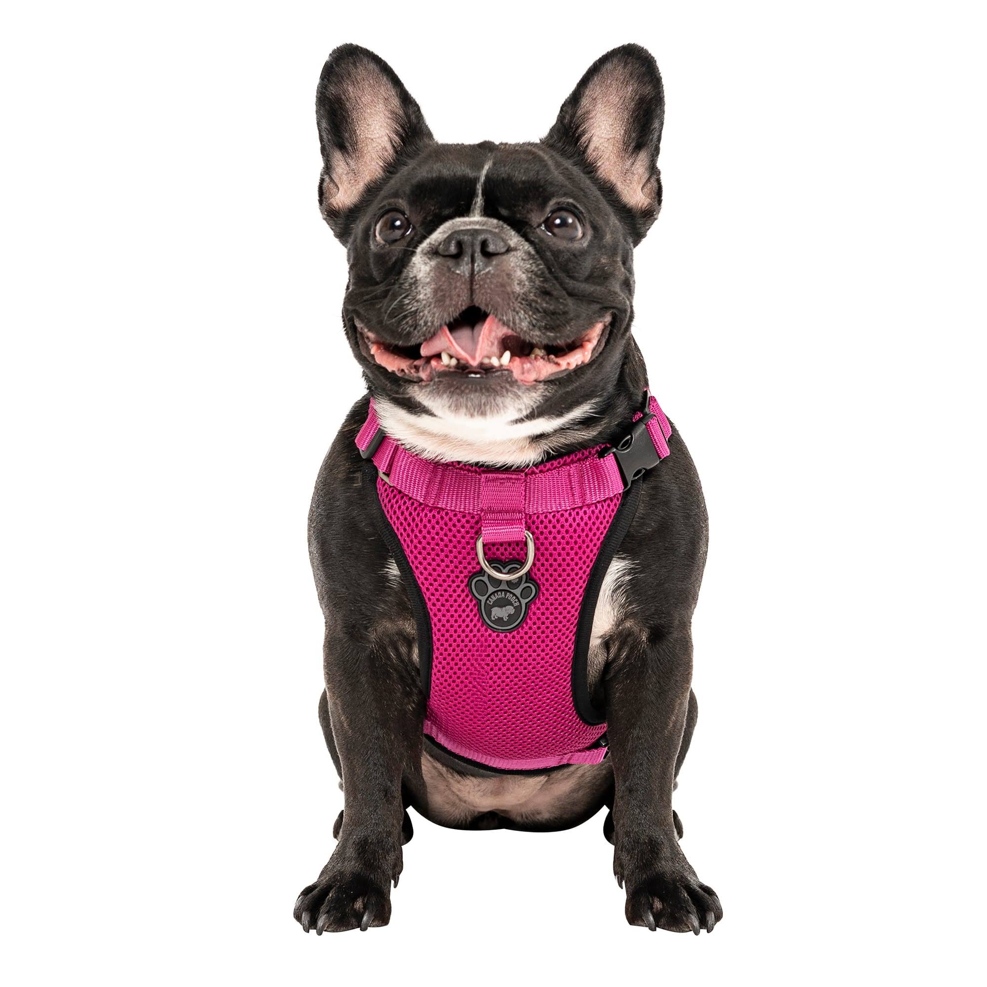 Canada Pooch Pink Everything Dog Harness, Large