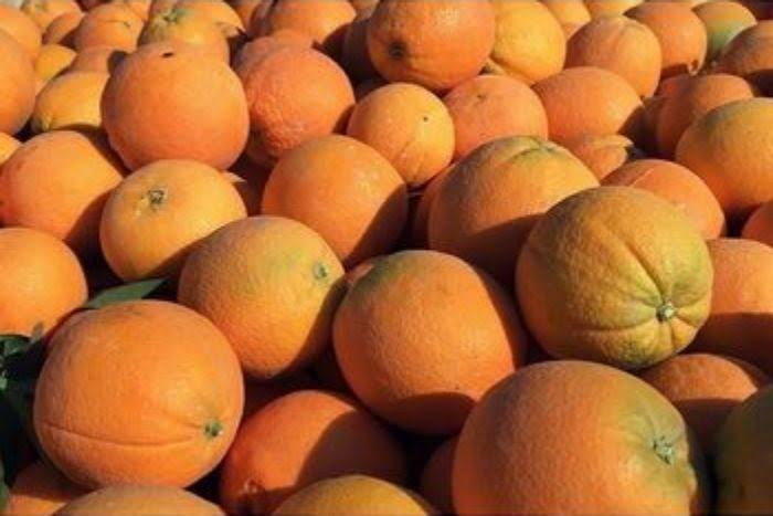 Produce Clementine Conventional Mandarian - 3 Pounds - Kikos Supermarket - Delivered by Mercato