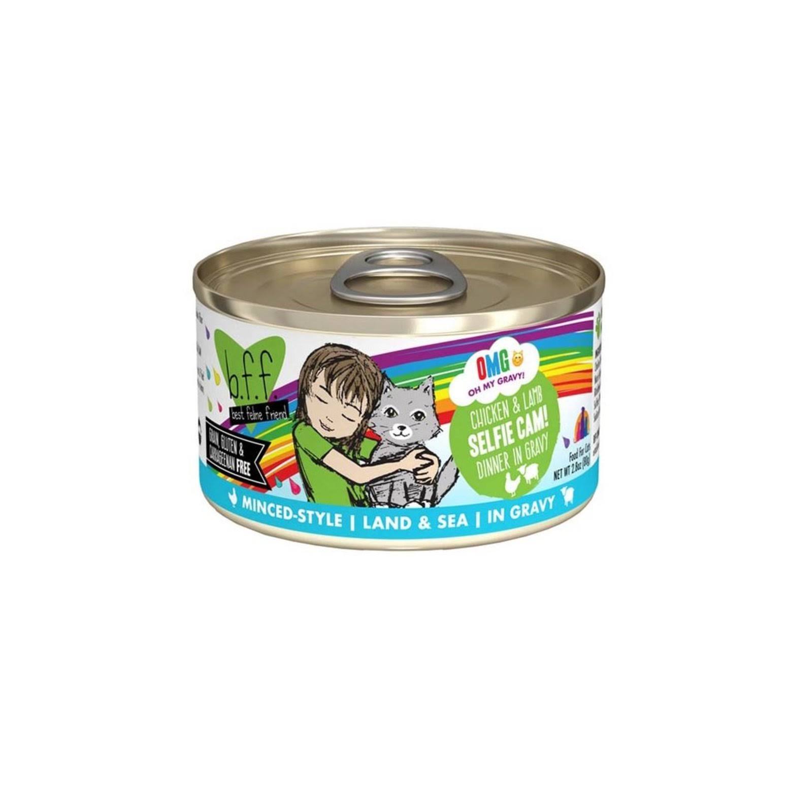 Weruva Canned Cat Food - Selfie Cam - Chicken & Lamb | Size: 156 g