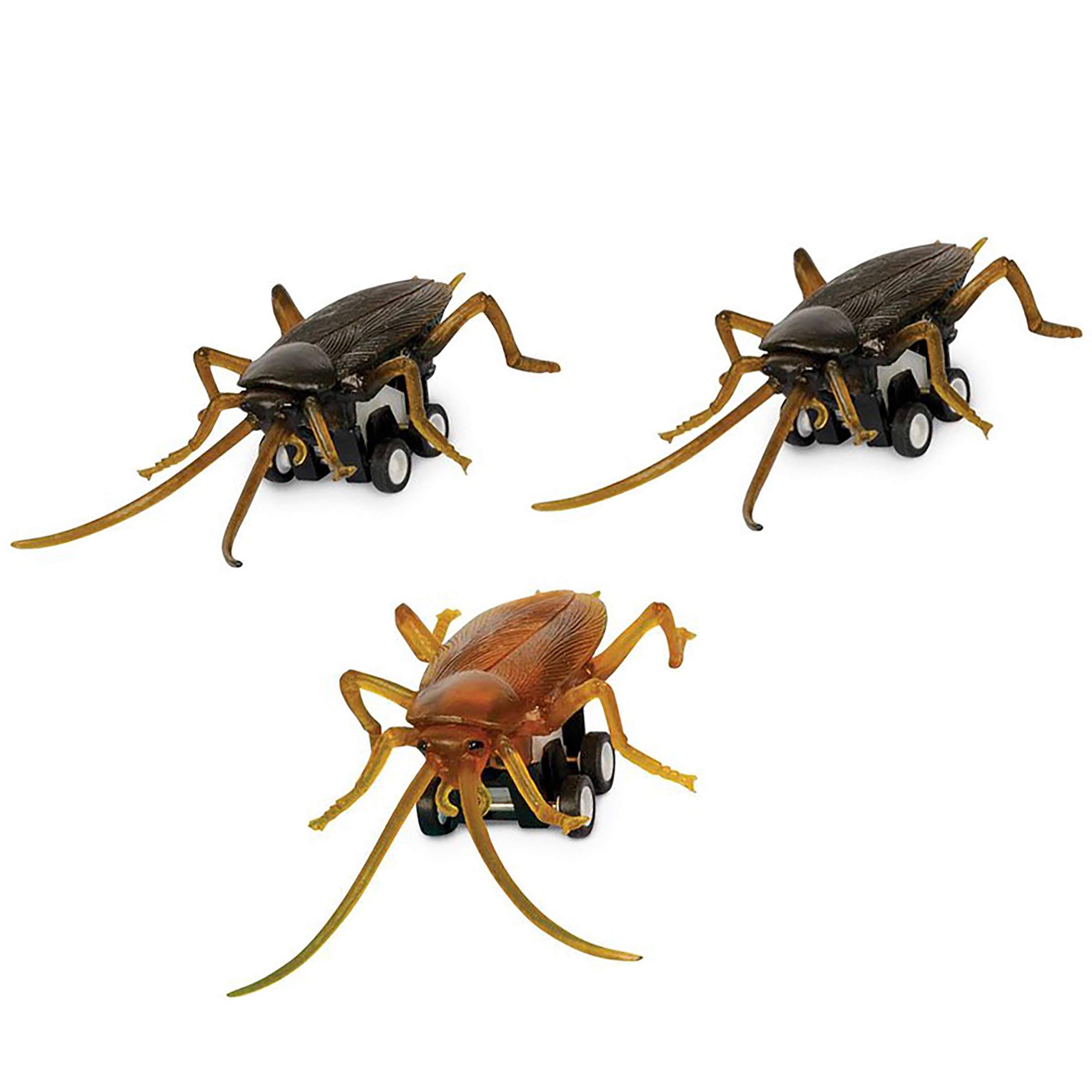 Archie McPhee Novelty Gag Gift Racing Roaches 3 Piece Set