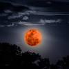 Pleine lune du 9 octobre 2022 (ou lune du chasseur) : 4 solutions ...