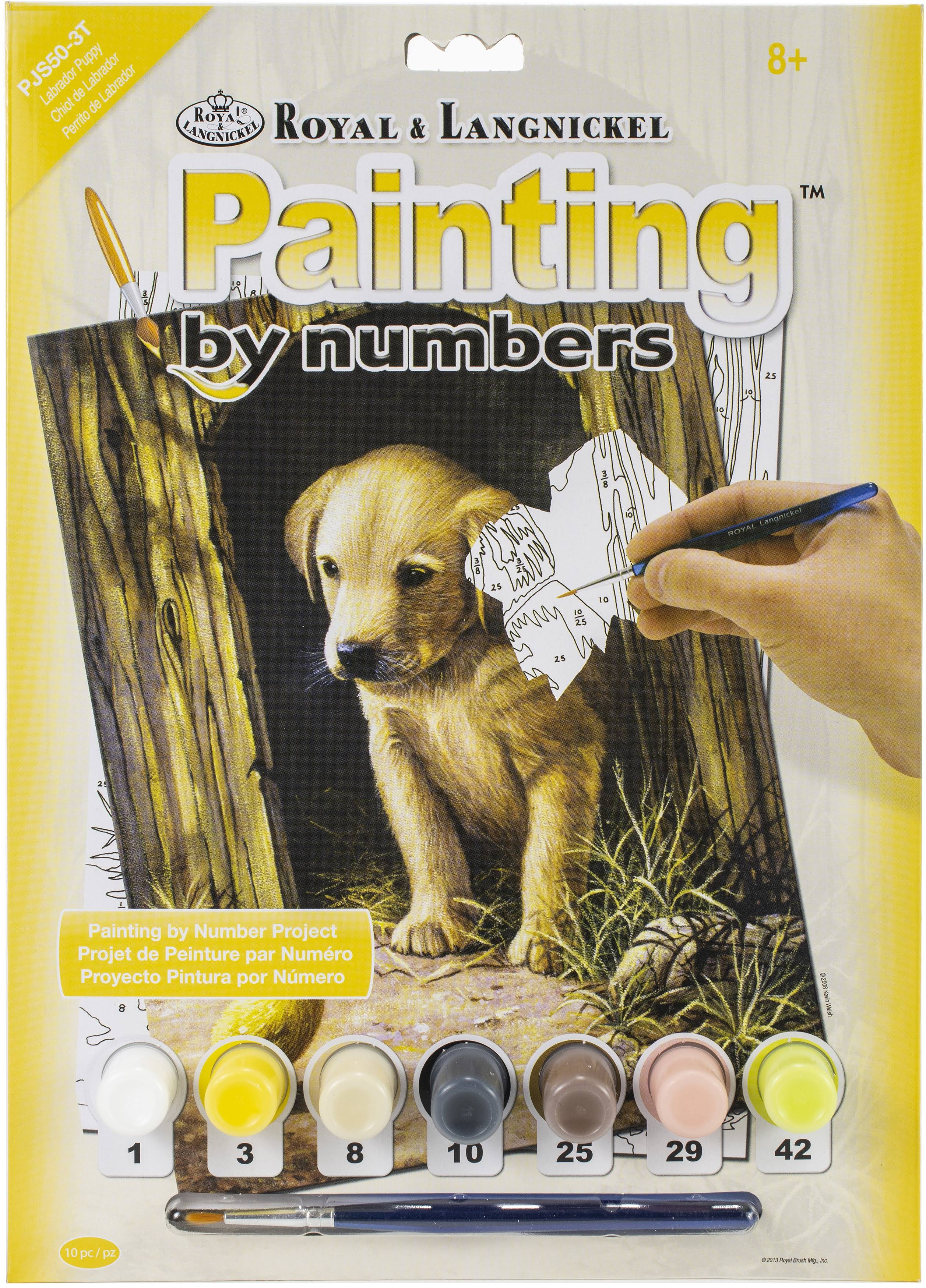 Royal Brush Junior Paint By Number Kit
