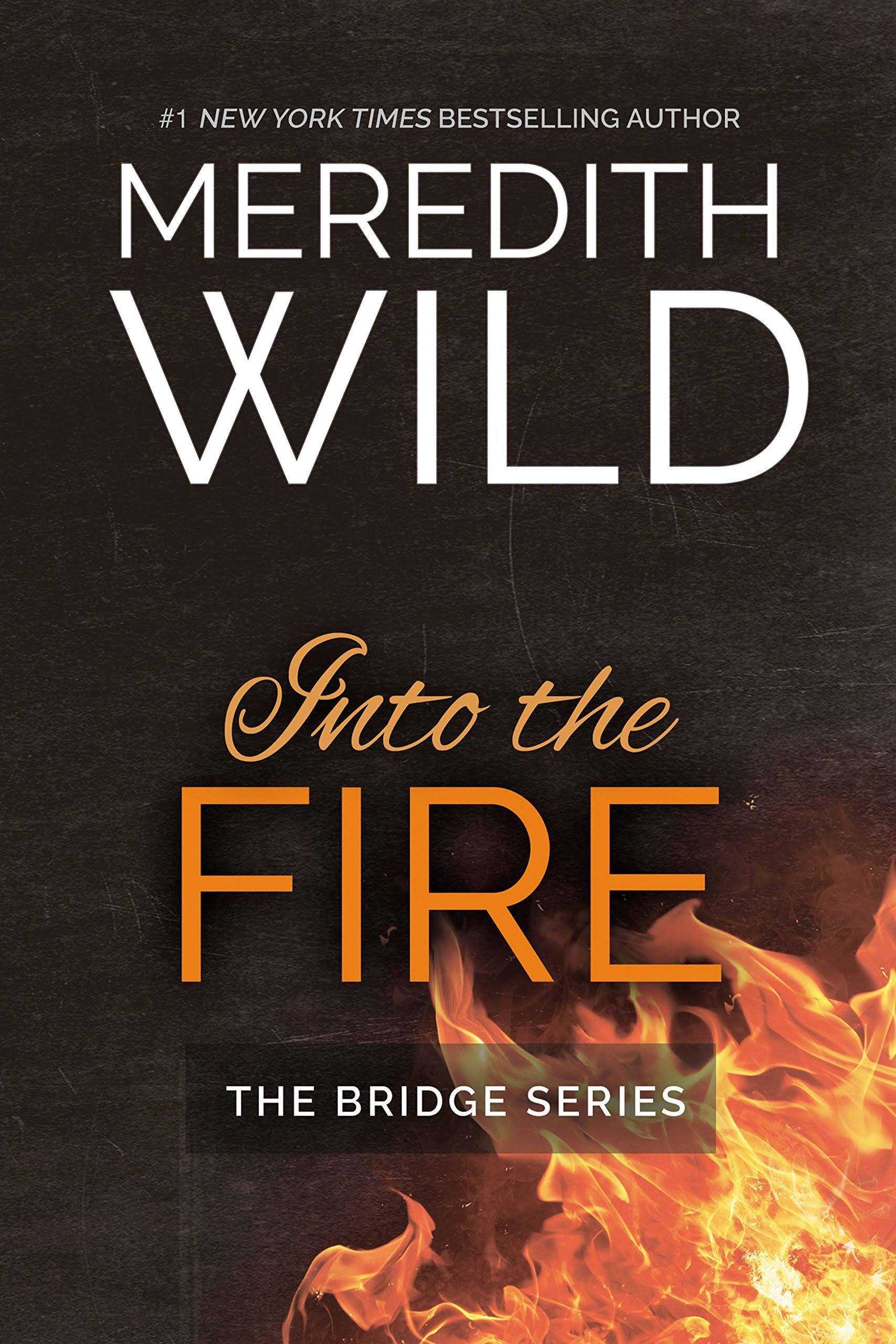 Into The Fire - Meredith Wild