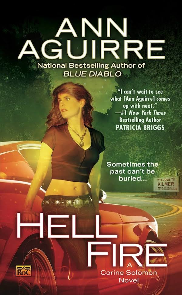 Hell Fire [Book]
