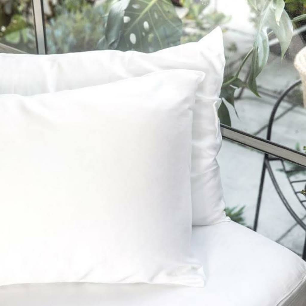 Ettitude Bedding | New! 2 Organic Bamboo Lyocell Pillowcases | Color: White | Size: Standard | Ceetee32's Closet