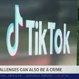 FCC's Commissioner Carr Wants TikTok Yanked From Apple and Google App Stores