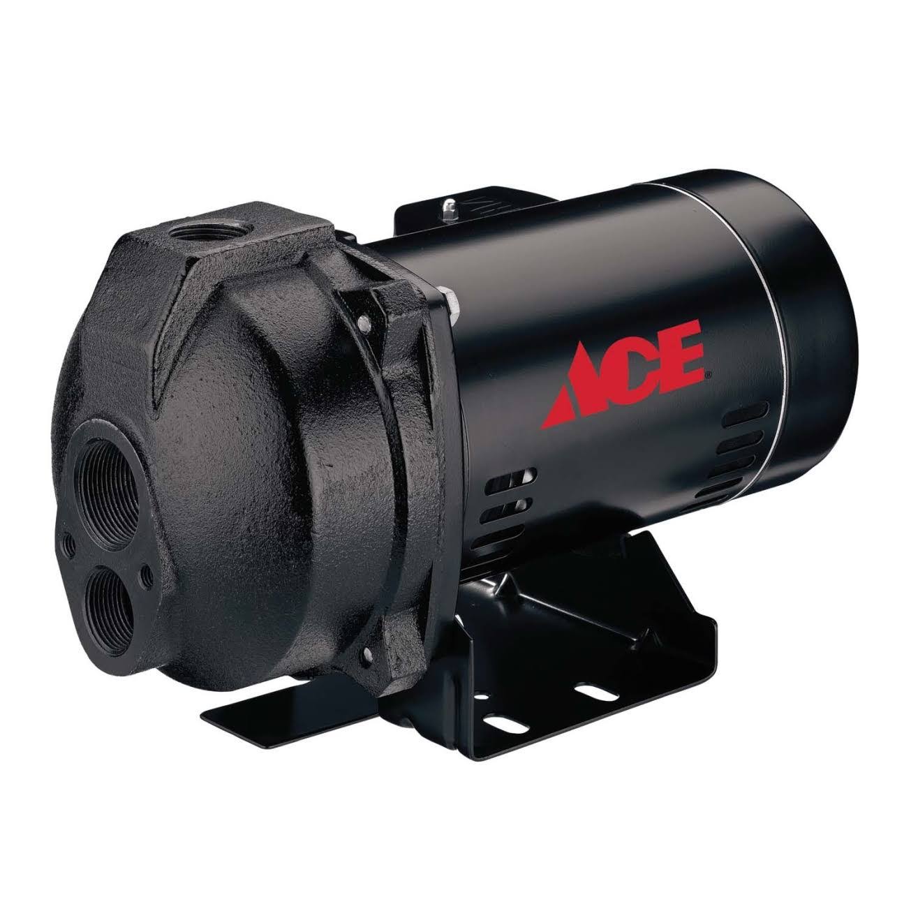 Ace 1 Horsepower Convertible Deep Well Jet Pump (ace10c)