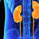 More cautious blood pressure-lowering strategy may be reasonable for elderly CKD patients - News