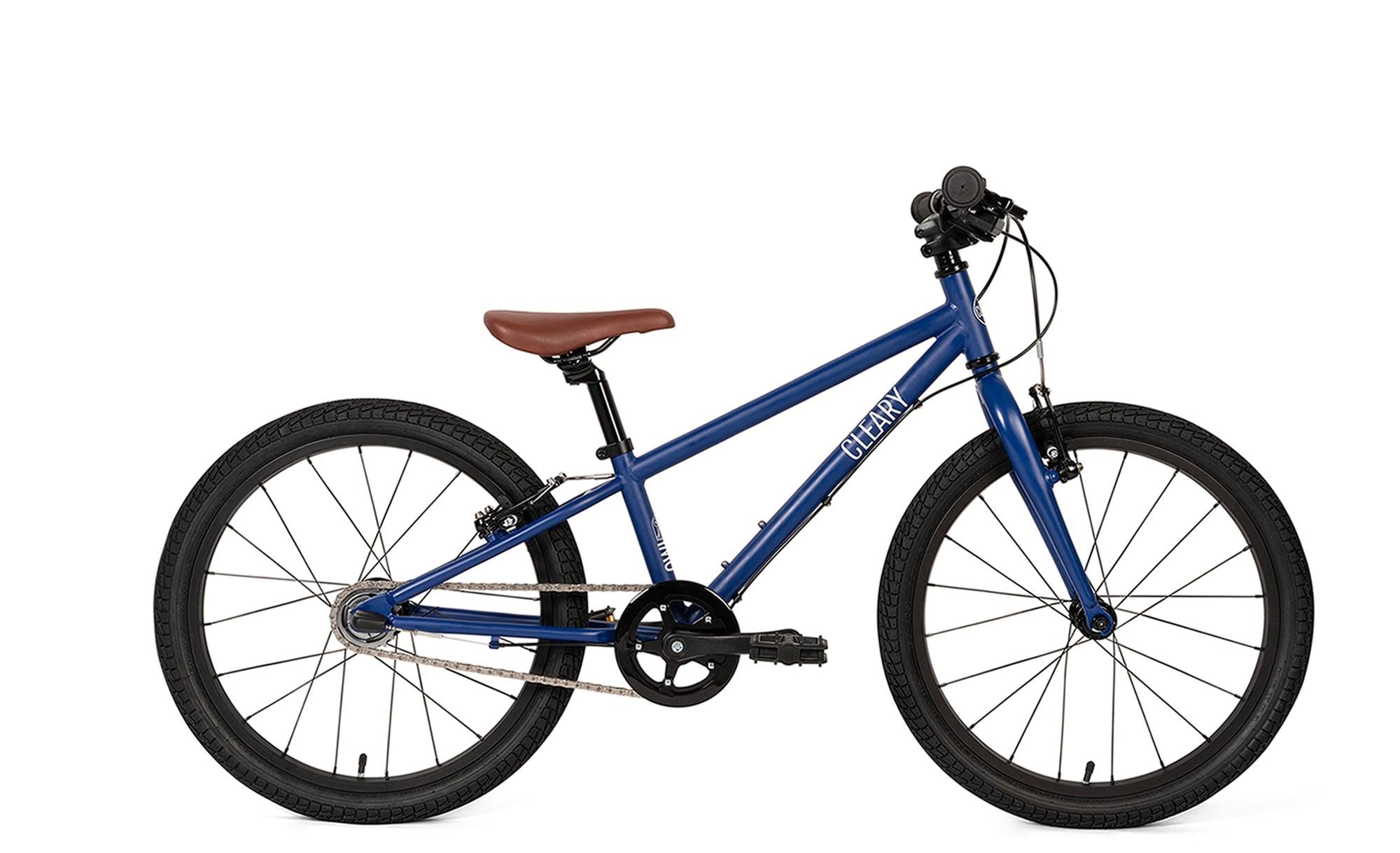 Cleary Owl 3-Speed 20-inch Kids' Bike Graphite