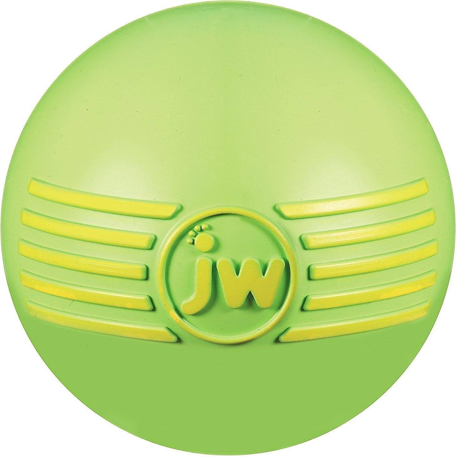 Jw Pet Company Isqueak Ball Rubber Dog Toy - Medium