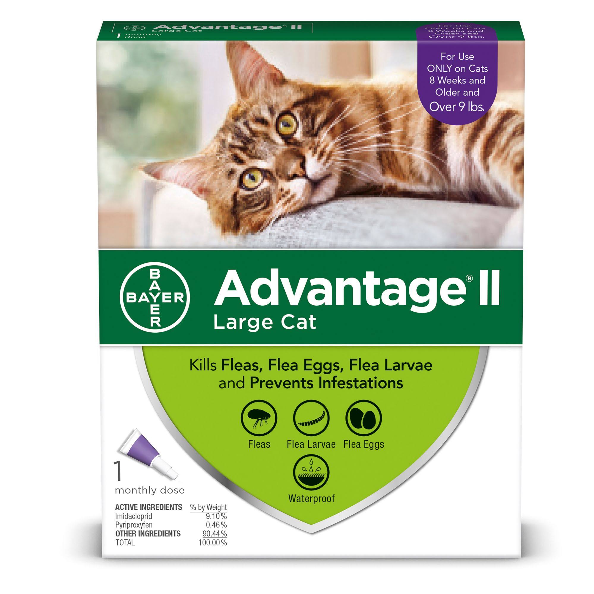 Advantage II Flea Prevention for Large Cats, 1 Monthly Treatment