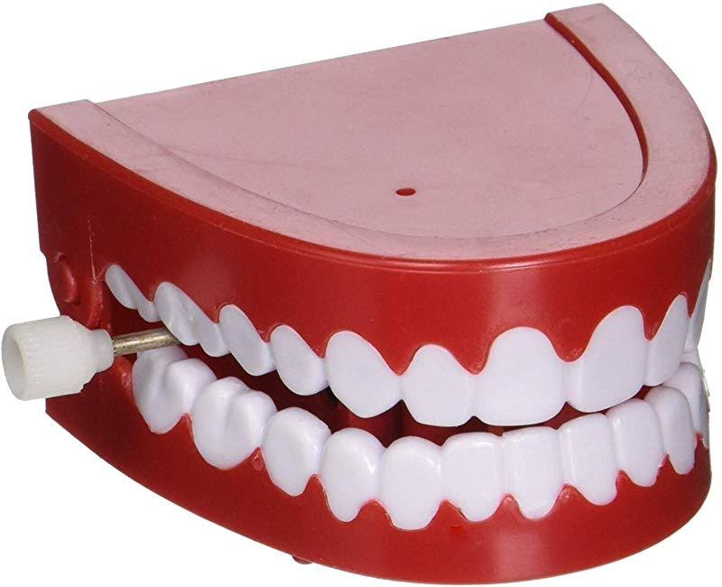 Rhode Island Chattering Teeth | Road Island Novelty | Collectibles