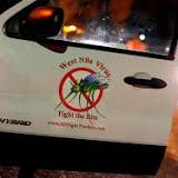 Italy emerges as european hotspot for West Nile fever outbreaks
