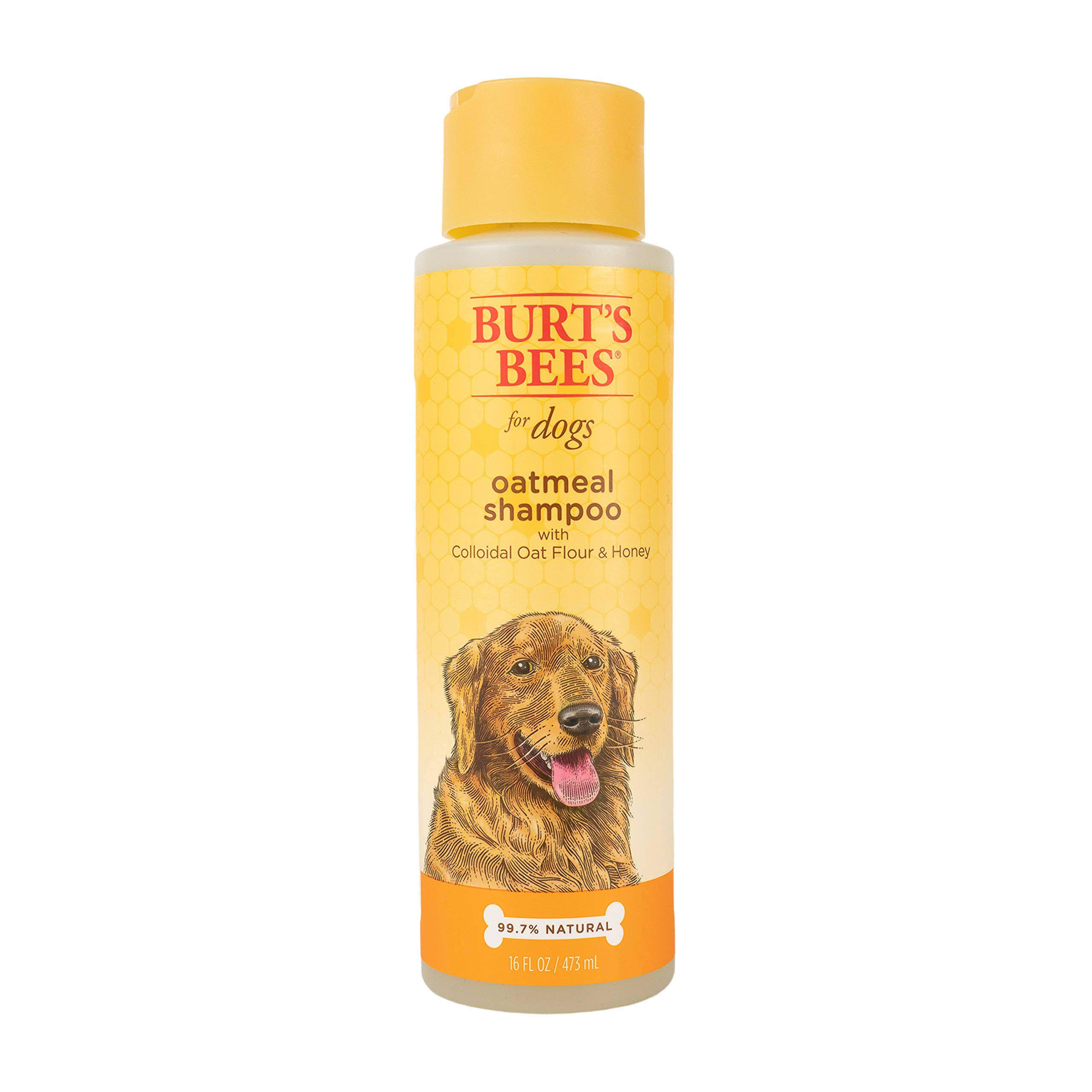 Burts Bees Oatmeal Dog Shampoo - 16oz