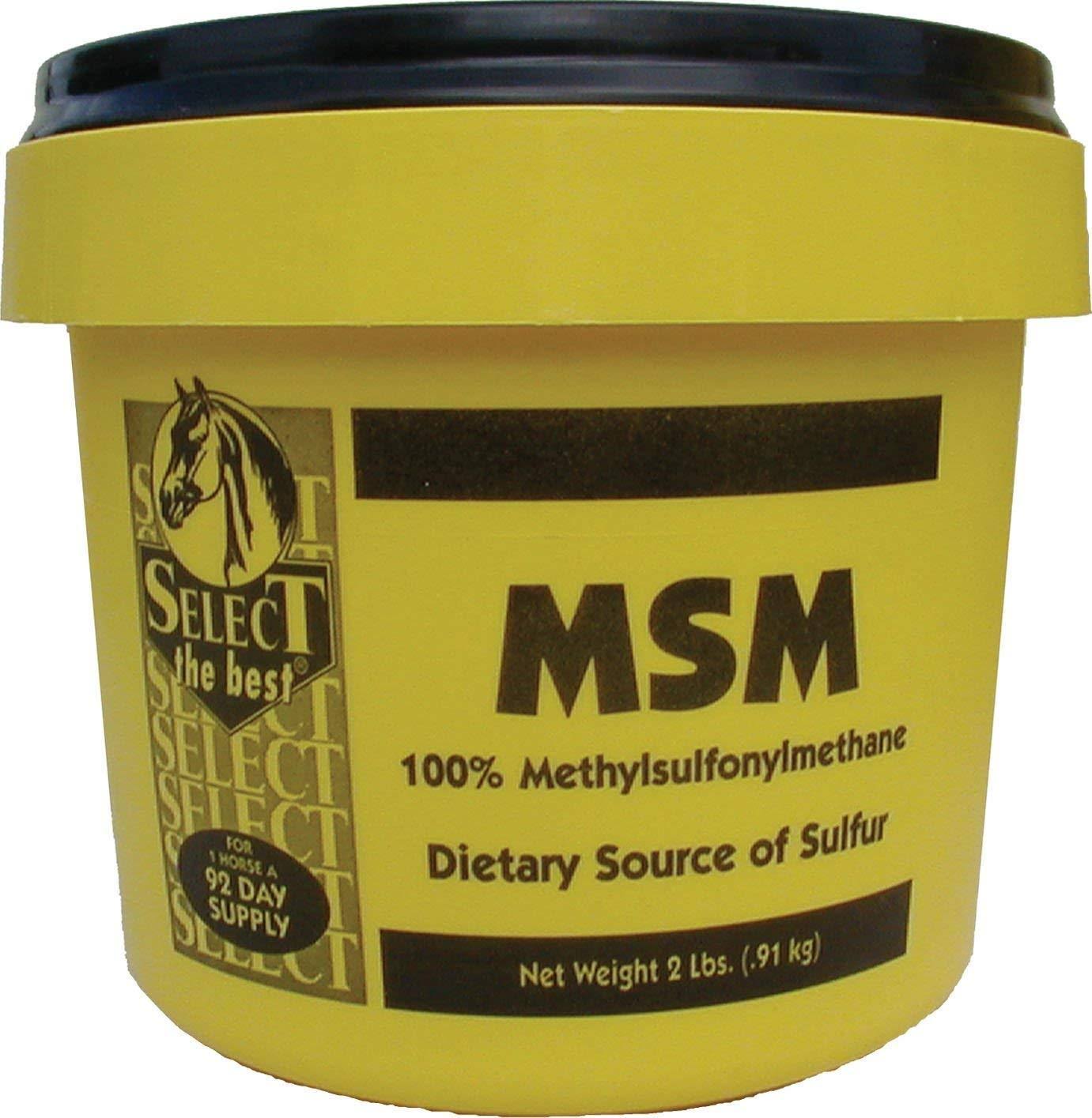 Msm Powder Joint Support for Horses - 2lbs