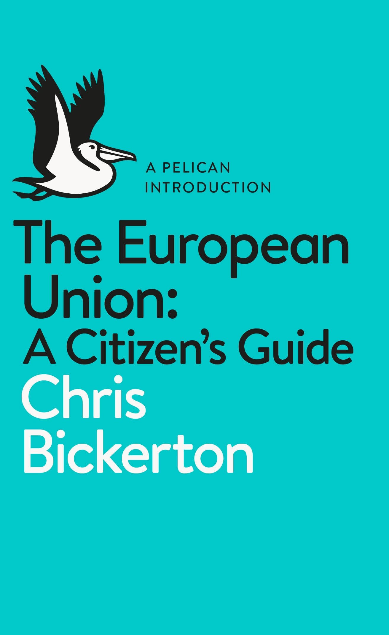 The European Union: A Citizen's Guide - Chris Bickerton