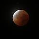 Under a 'Blood Moon': First total lunar eclipse of the year wows stargazers