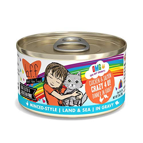 Weruva B.F.F. OMG - Best Feline Friend Oh My Gravy! Grain-Free Wet Cat Food Cans, Crazy 4 U! Chicken & Salmon, 2.8-Ounce Can (Pack of 12)