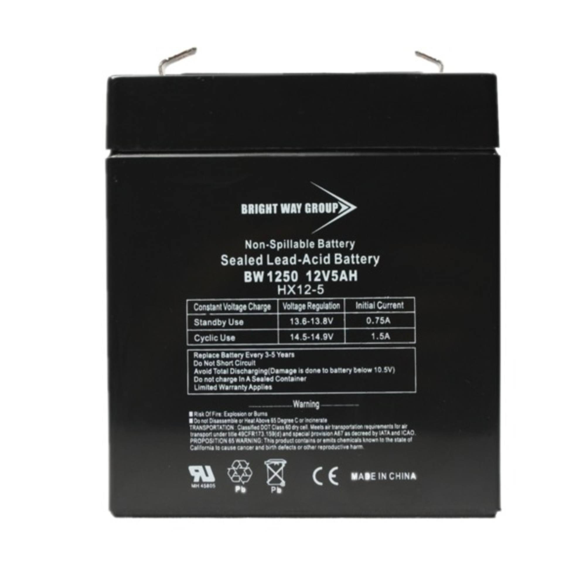 Bright Way Group BW 1250 F1 (0124) 12 Volt 5 Ah Battery