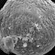 Oldest micrometeorites ever found hold clues to Earth's ancient atmosphere 