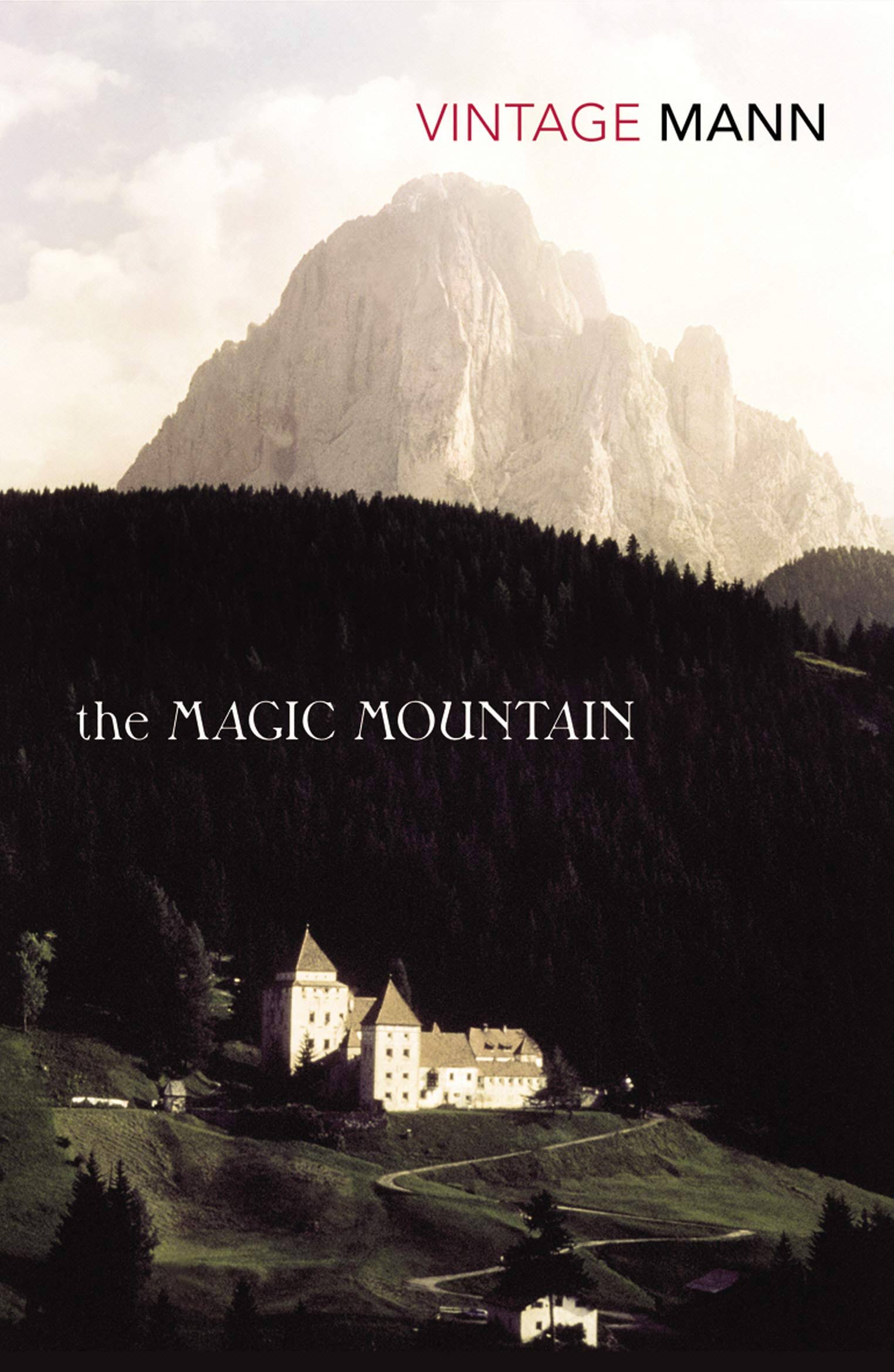 The Magic Mountain [Book]